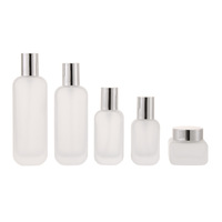 Ensemble de flacons et pots cosmétiques en verre dépoli avec bouchons pompe argentés personnalisables pour le remplissage de crèmes, sérums et lotions pour le visage