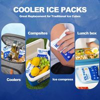 Pack de glace sèche en gel pour glacière alimentaire jetable en plastique personnalisable avec logo, feuille de congélation pour glacière à lunch