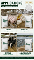 DL-Méthionine en poudre, DL-Méthionine de qualité alimentaire, additifs nutritionnels pour animaux