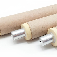 Thermocouple jetable de type K S R B à usage unique pour l'industrie de la fonderie des métaux