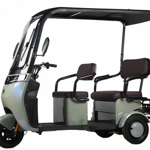 Triciclo Eléctrico de Acero al Carbono de 48V 20Ah en Oferta, Scooter de 3 Ruedas con Potencia de 500W y Certificación EEC - Product Image 4