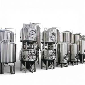 Mejor Precio en Tanques Fermentadores de Cerveza de Acero Inoxidable de 1000L y 2000L, Equipos Industriales de Fermentación - Product Image 1