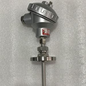Thermomètre à résistance en platine de type à bride Pt100 Wzpk 5861 -200 à 650 °C résistant à la corrosion - Product Image 2