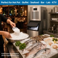 Machine à glace en flocons de 60 kg, 150 kg, 300 kg, 500 kg, 1000 kg pour usage quotidien, idéale pour buffets, KTV, laboratoires, supermarchés, OEM