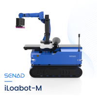 Système de palettisation de robot entièrement automatique Chargement et déchargement du robot de palettisation pour conteneur