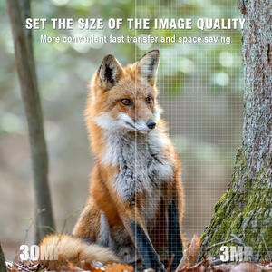 Caméras de chasse et de surveillance Vision nocturne Vitesse de capture 0,3s Mini caméra sans fil Étanche IP67 Caméra de chasse pour la faune - Product Image 5