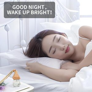 Asılı Araç Kokusu Gece Buzu Kokusu Uzun Süreli Koku Giderici Araç Kokusu Difüzörü Oto İçi İçin - Product Image 4