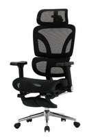Chaise de bureau ergonomique en maille avec dossier réglable en hauteur, chaise de direction pivotante