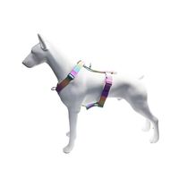 Nouvel ensemble de harnais, laisse et collier tactique de luxe personnalisé pour chien, en nylon dégradé, réglable, avec boucle métallique et rembourrage doux, pour lapins