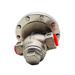 Regulador de presión de acero inoxidable criogénico DN20 5000psi, fabricado en China, al por mayor, al por mayor - Product Image 2