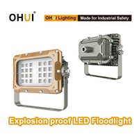 Projecteur LED antidéflagrant de haute qualité Zone 1/2/21/22 IP66/68, Lampe LED antidéflagrante, Produits personnalisables