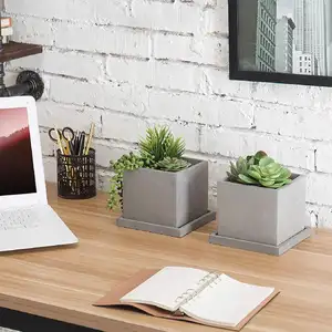 Quadratische graue Ton zement saftige Töpfe Beton Pflanz gefäße für Schreibtisch