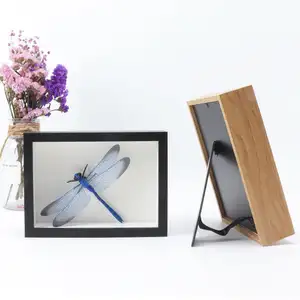 Popular creative dry flower embossed plant insect 3d floating display wall photo frame shadow