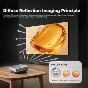 <strong>120</strong>-<strong>inch</strong> Picture <strong>Frame</strong> <strong>Projection</strong> <strong>Screen</strong> Fresnel Material Short Focal Length Anti-light Hard <strong>Screen</strong> - Product Image 4