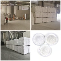 Carbonate de Calcium Léger de Qualité Alimentaire en Poudre 600-1250 Mesh Blanc/Gris Clair Additif Alimentaire pour Volaille Améliore la Qualité des Coquilles d'Œufs