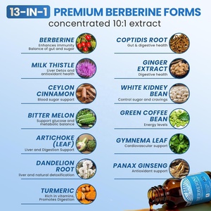 Complément Liquide de Berbérine Haute Puissance à Marque Blanche <span class=keywords><strong>pour</strong></span> le Soutien Glycémique, Gouttes Naturelles Stimulantes du Métabolisme, Faible MOQ - Product Image 2