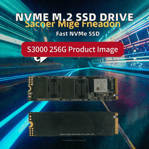 <span class=keywords><strong>SSD</strong></span> NVMe ความเร็วสูงสำหรับแล็ปท็อปเกมมิ่ง 128GB 256GB <span class=keywords><strong>512GB</strong></span> 1TB Tbw Pcie 3.0 M.2 ภายใน พร้อมพอร์ต SATA ขยายใหม่ - Product Image 6