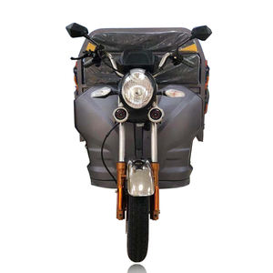 Vendita calda in Kenya EEC/COC Triciclo di carico elettrico a corpo aperto Tuk Tuk con tensione 60v - Product Image 4