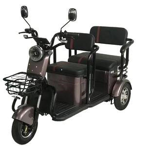 Tricycle à 3 roues pour adultes, scooter d'occasion, vélo tricyclic, fourniture directe d'usine, 500W 60V20Ah, certifié CE, personnalisable - Product Image 4