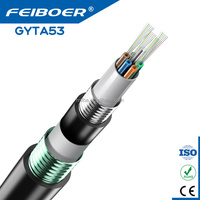 Harga Pabrik Kabel Serat Optik Anti-Rodent GYTS/GYTS53 SM G652D 2-288 Core Berlapis Baja Kekuatan Tarik Tinggi Logo Gratis