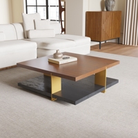 Voxhome USA moderne en acier inoxydable noyer bois stockage ovale centre carré thé Table basse industriel salon meubles