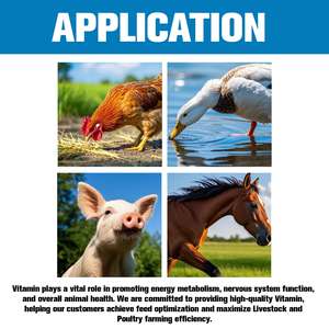 Polvo de vitamina D3 para ganado y aves de corral Aditivos para piensos para pollos Caballo con vitaminas para la promoción del crecimiento-Grado de alimentación - Product Image 2