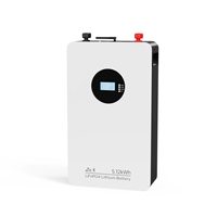 51.2V 100Ah 5.12kWh Baterai Penyimpanan Energi Rumah LiFePO4 Terpasang di Dinding Solar ESS dengan Smart BMS Komunikasi Bluetooth OEM ODM