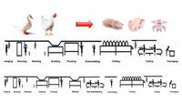 Échaudage automatique de petite capacité pour l'abattage des poulets Cueillette de poulet 70 l/Ébouillanteur de volaille
