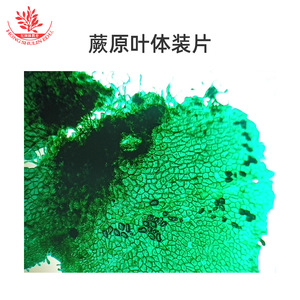 Biological <b>microscope</b> specimens are clearly visible, with typical structures and uniform staining. Biological laboratory, - Product Image 5