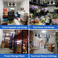 Chambre froide industrielle à basse température pour la viande, avec unité de condensation à compresseur à vis, pour usine de transformation de la viande