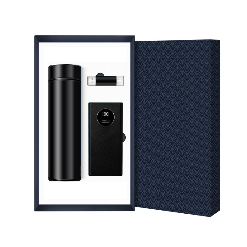 Advanced Luxury Business Gift Set 10000mAh