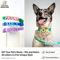 Breloques en silicone personnalisées avec logo, 26 lettres, pour collier de chien ou de chat, étanches et réglables, vente en gros, usine OEM