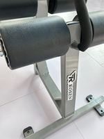 Banc de musculation inclinable ROSEN Fitness pour la musculation des pectoraux et du tronc en salle de sport commerciale