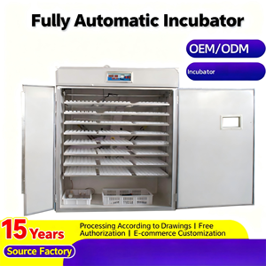 Venda Direta de Fábrica Incubadora de Ovos para 5000 Ovos e Incubadora Solar para Ovos com Alta Capacidade para Operações em Grande Escala - Product Image 5