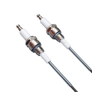 <span class=keywords><strong>Elettrodo</strong></span> di accensione a scintilla per bruciatore a gas - Product Image 4