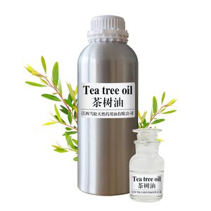 Suministro Directo de Fábrica, Aceite Natural de Árbol de Té 100% Puro, Aceite Esencial de Melaleuca/Cajeput para el Cuidado de la Piel y el Cabello, Jabón y Ungüento - Product Image 3