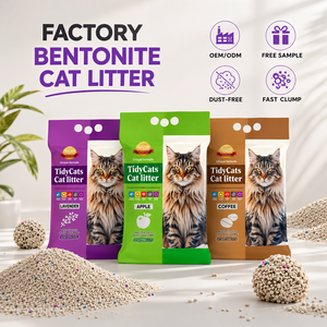Litière pour <span class=keywords><strong>chat</strong></span> en bentonite 99,9 % sans poussière, qualité supérieure, forte absorption, contrôle des odeurs pour chats d'intérieur, prix d'usine - Product Image 1