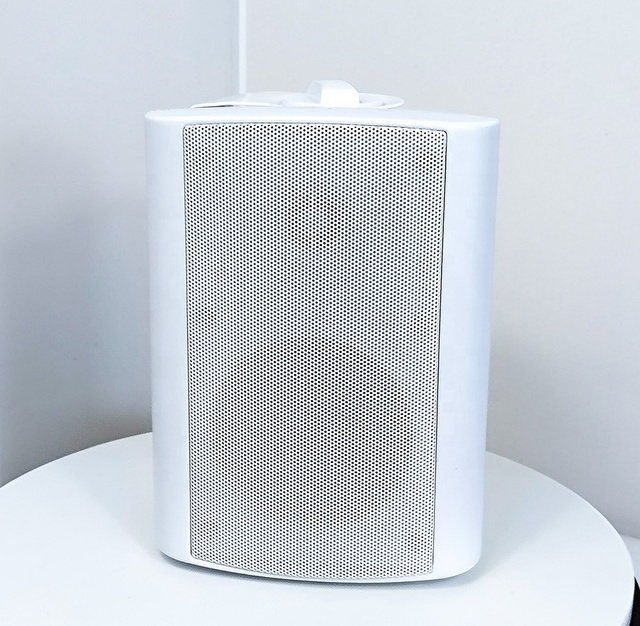 3-inch 15w/10w/5w/2.5w/8ohm Wall Speaker Two Way Speaker 70V/100V PA System Indoor Meeting Room Tweeter OEM ODM Factory Sale