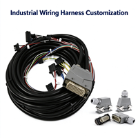 Rangkaian Kabel Harness Sensor Kustom untuk Peralatan Otomasi Industri, Mesin CNC, dan Sistem Kontrol