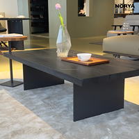 Table basse moderne NORYA en charbon de bois noir, style minimaliste, profil bas, structure métallique durable, bois écologique, pour salon