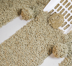 Litière pour chat en bambou biodégradable et écologique, à jeter dans les toilettes, avec contrôle des odeurs, pour les appartements modernes - Product Image 6