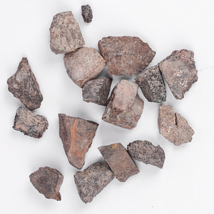 Fossiles ossés de dinosaures de style Feng Shui authentiques Spécimens de squelette préhistorique en cristal pour la recherche et la décoration - Product Image 1