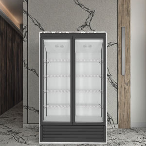 Vetrina Freezer Verticale <span class=keywords><strong>a</strong></span> 2 Porte con <span class=keywords><strong>Porta</strong></span> in Vetro, Acciaio Inossidabile, Refrigerazione <span class=keywords><strong>a</strong></span> Raffreddamento Diretto - Product Image 1