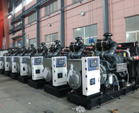 Groupe électrogène diesel Deutz 160 kW 200 kVA avec ATS monophasé/triphasé 50/60 Hz à démarrage automatique pour solutions d'alimentation de secours dans le secteur de la construction et des mines