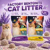 Litière pour chat en bentonite écologique, parfum personnalisé, haute absorption, contrôle des odeurs, 99 % sans poussière, agglomération rapide, emballage OEM