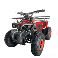 Quad à essence 49cc 2 temps de haute qualité, ATV à quatre roues, ATVS avec CE pour enfants en vente chaude