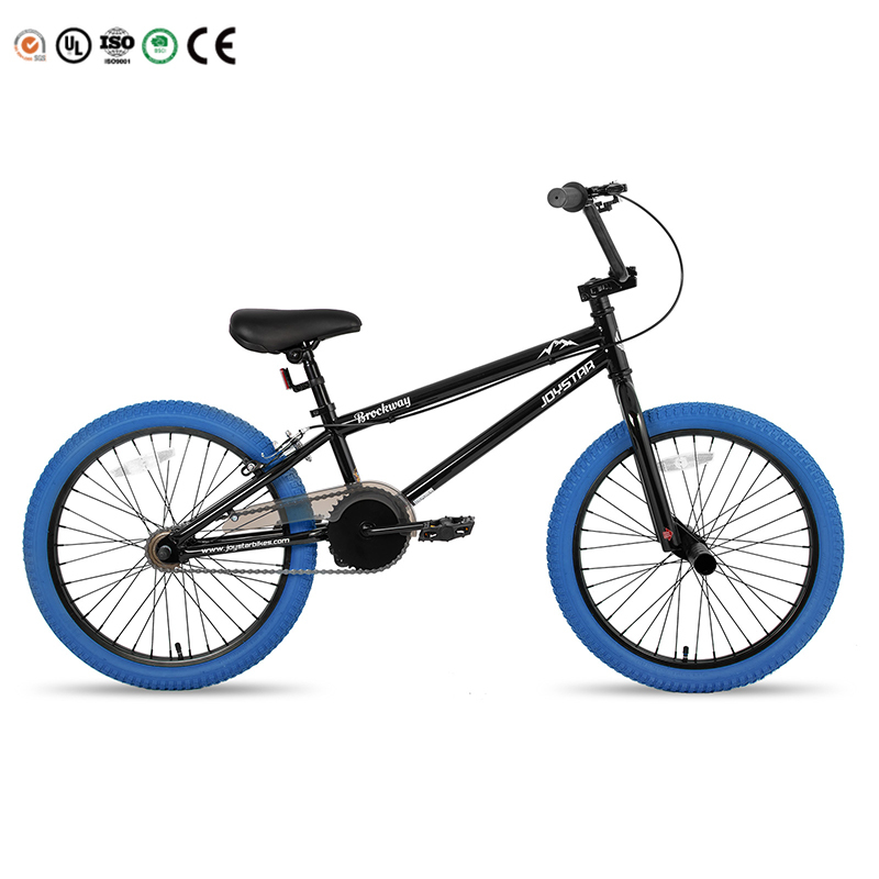 JOYKIE JOYSTAR 20 24 Inch Colored