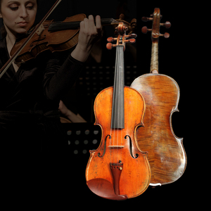 Violino Acustico NAOMI Master Antique con Finitura a Olio, Top in Abete Europeo, Fondo in Acero, Misura 4/4, con Archetto IPE, Ponticello e Custodia - Product Image 5