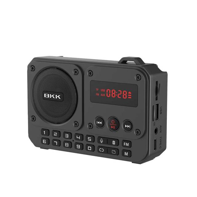 Portable FM Radio Music Box Player with for 5.3 Type-C Connector 1200mAh Battery (B852)