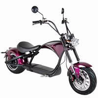 Motocicleta Eléctrica Plegable Loyal Intelligent GPS de 60V 30AH con Batería de Litio de 2000W, Resistente al Agua